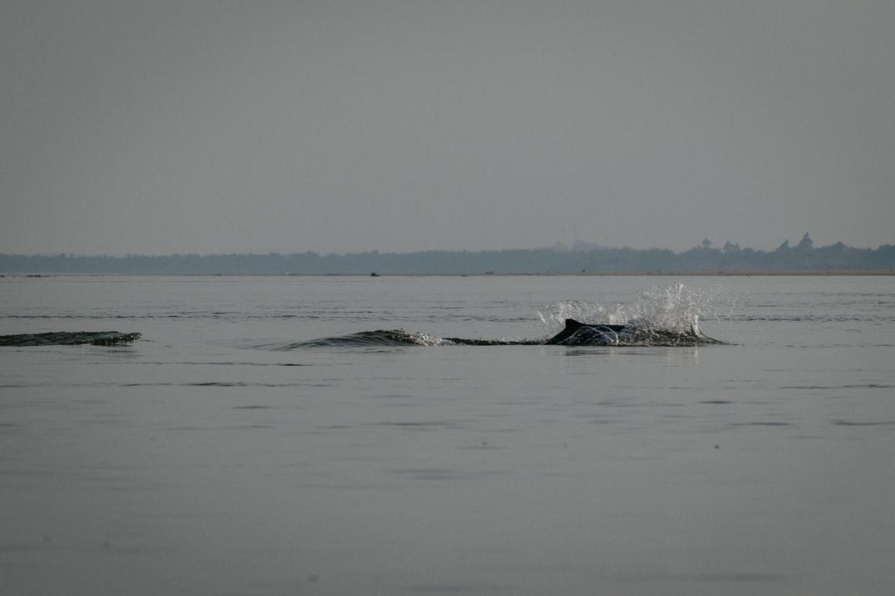 Sorya Guesthouse & Dolphin Tours Kratie Exterior photo